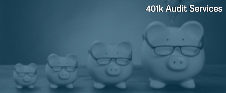 401k Audit Services