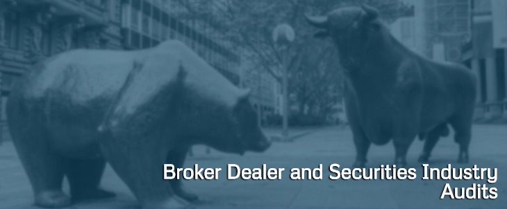 Broker Dealer Audit Services